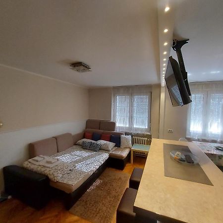 Central Apartment With Garage 노비사드 외부 사진