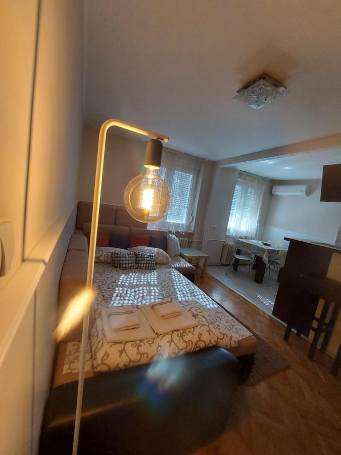 Central Apartment With Garage 노비사드 외부 사진