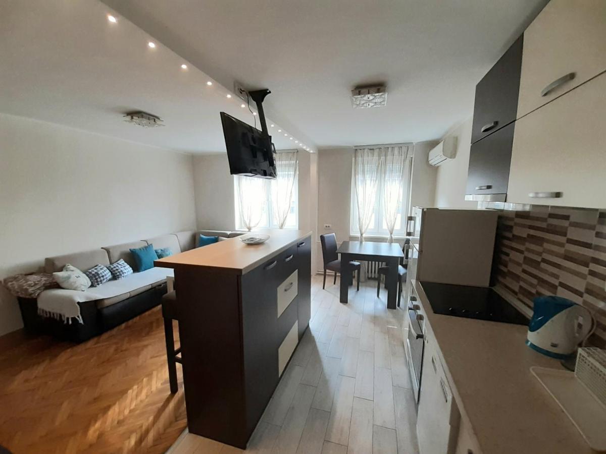 Central Apartment With Garage 노비사드 외부 사진